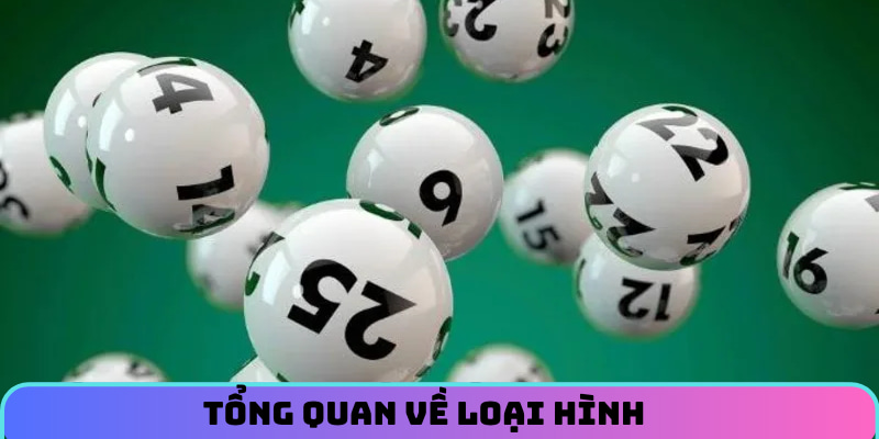 Tổng quan về loại hình