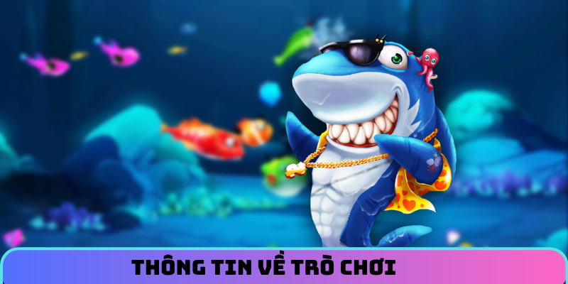 Thông tin về trò chơi