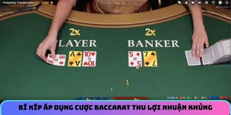 Bí kíp áp dụng cược baccarat thu lợi nhuận khủng