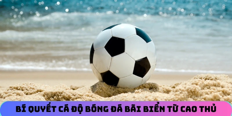 Bí quyết cá độ bóng đá bãi biển từ cao thủ cho hội viên