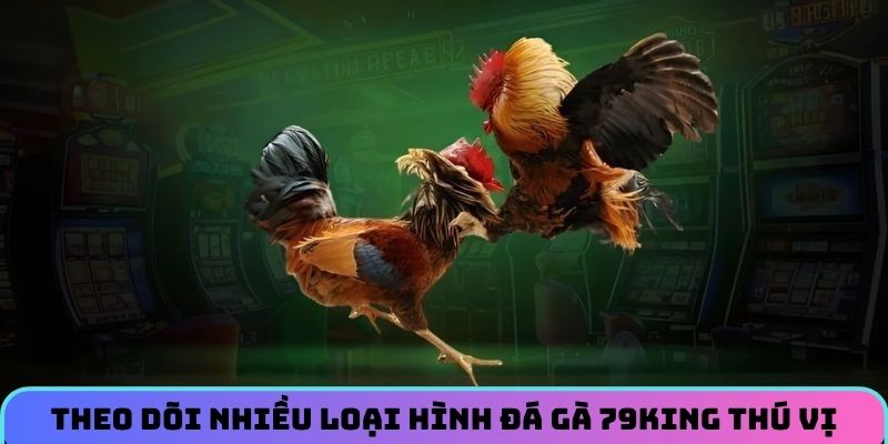 Theo dõi nhiều loại hình đá gà 79KING thú vị