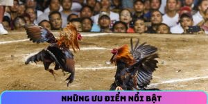 Những ưu điểm nổi bật