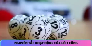 Nguyên tắc hoạt động của lô 3 càng