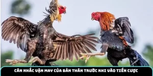Cân nhắc vận may của bản thân trước khi vào tiền cược 