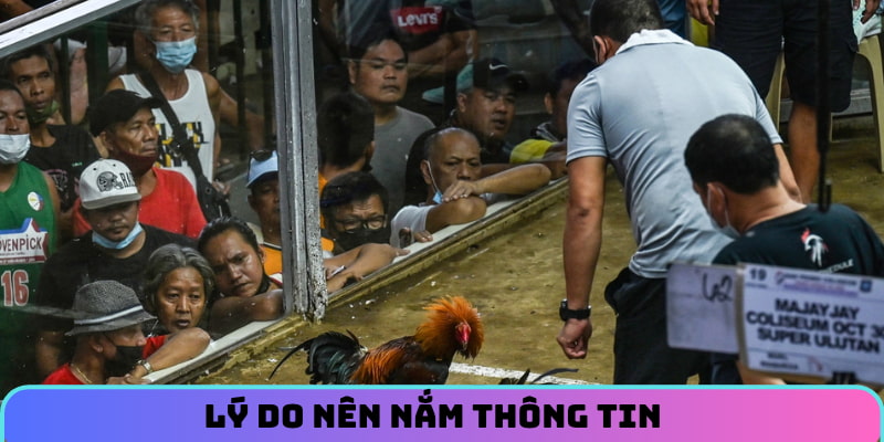 Lý do nên nắm thông tin