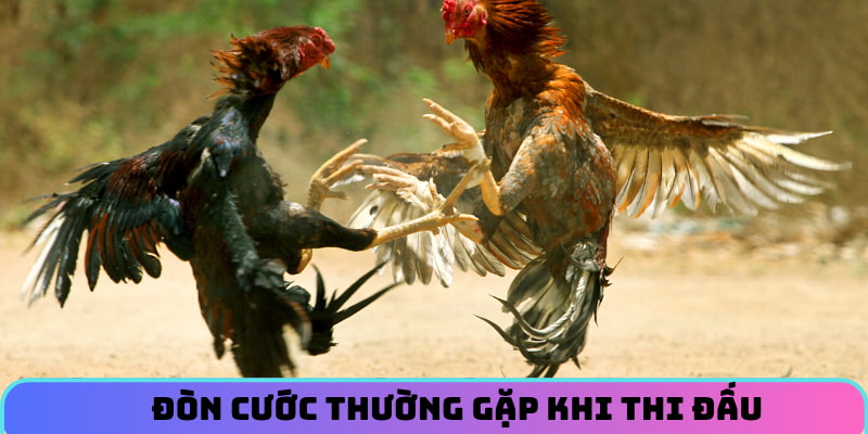 Đòn cước thường gặp trong thi đấu